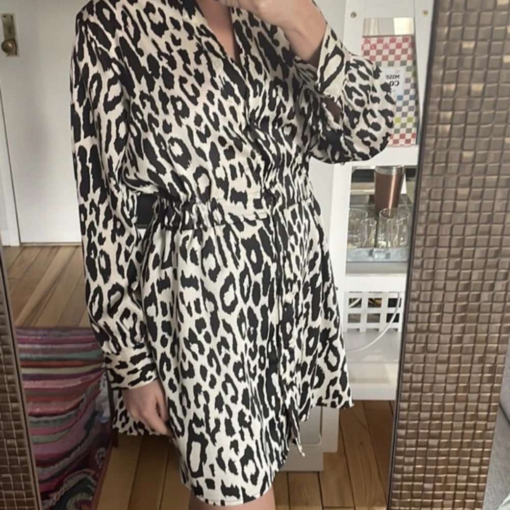 Zara Leopard Print Long Sleeve Dress